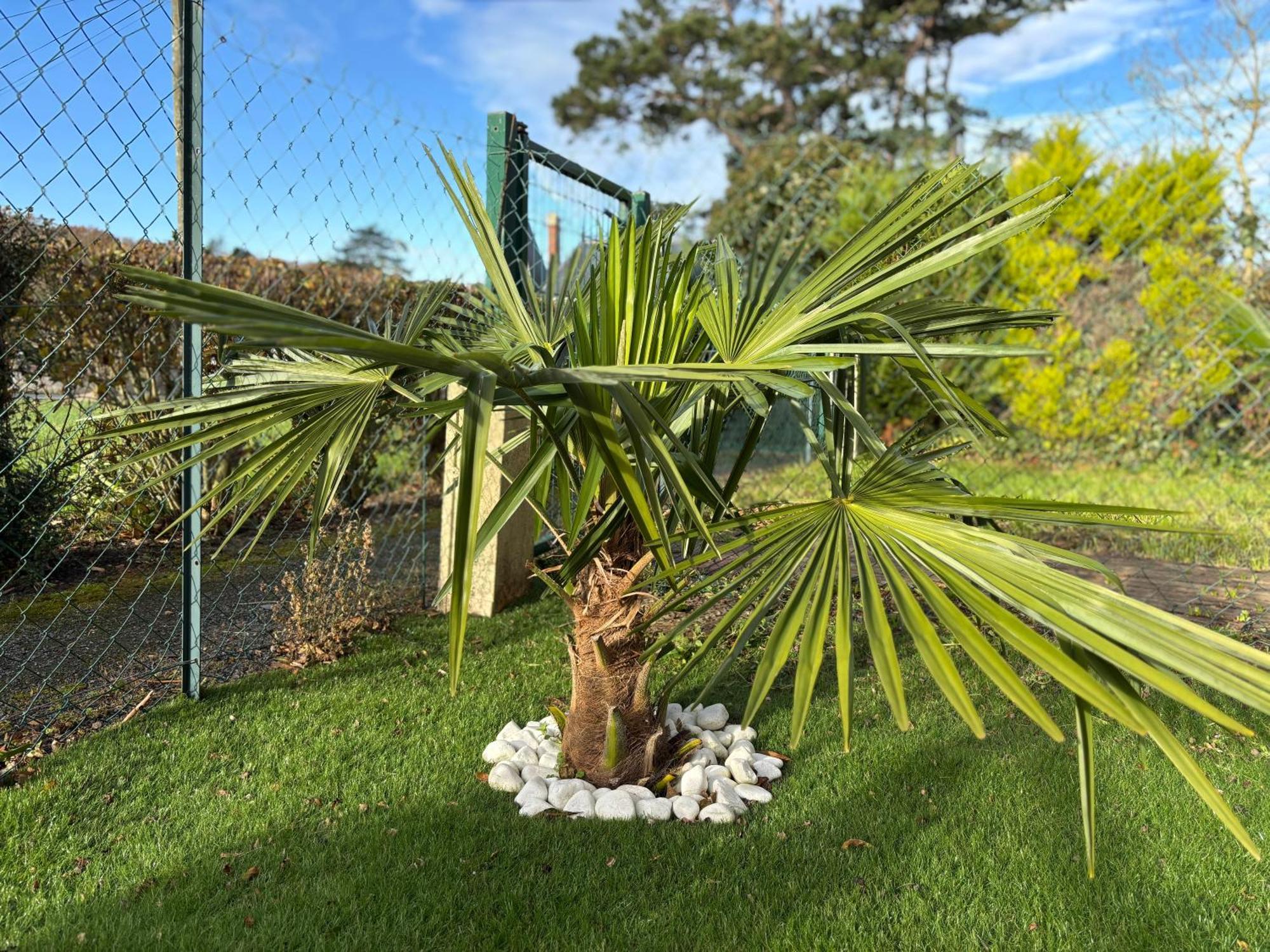 Les Douves Duplex 5 Personnes Lumineux Avec Jardin Et Terrasse Amenagee , Vue Sur Chateau A 5Mn De La Mer, Proche Omaha Beach Et Bayeux Commes Εξωτερικό φωτογραφία